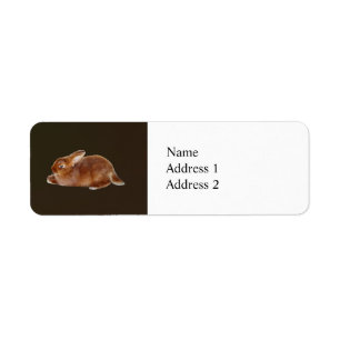 Brown Rabbit Return Address Label