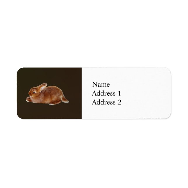 Brown Rabbit Return Address Label (Front)