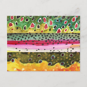 Brown, Rainbow and Brook Trout Fishing Postcard