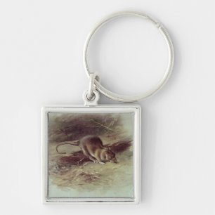 Brown Rat 1918 Key Ring