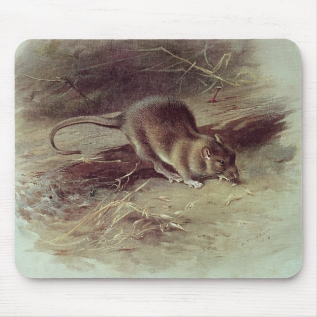 Brown Rat  1918 Mouse Pad (Front)