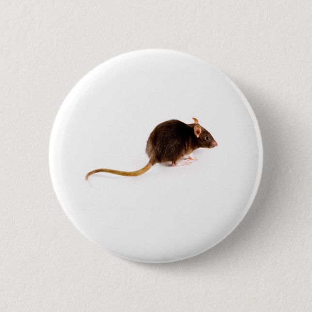 Brown Rat 6 Cm Round Badge (Front)