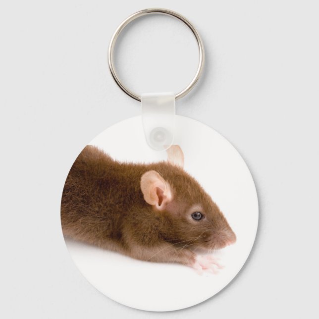 Brown Rat Key Ring (Front)