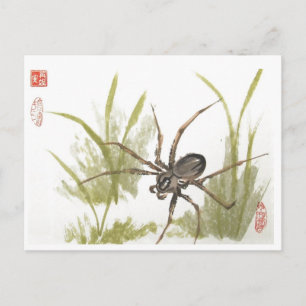 Brown Recluse Spider on White Postcard
