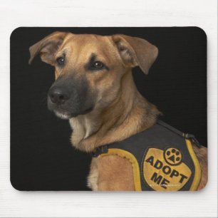 Brown rescue dog with adopt me vest mouse pad