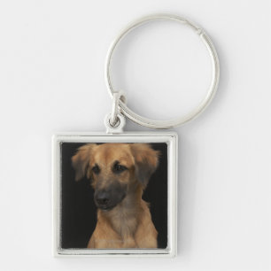 Brown resuce dog with black nose on black key ring