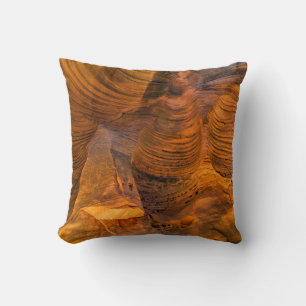 Brown rock formation cushion