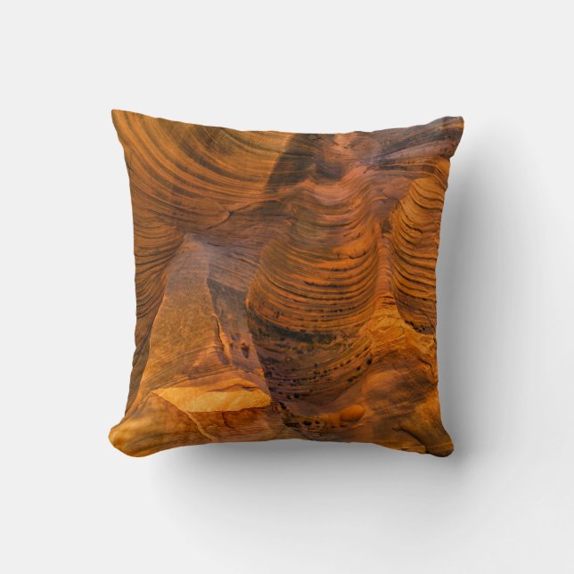 Brown rock formation cushion (Front)