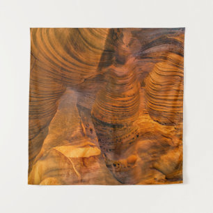 Brown rock formation tapestry