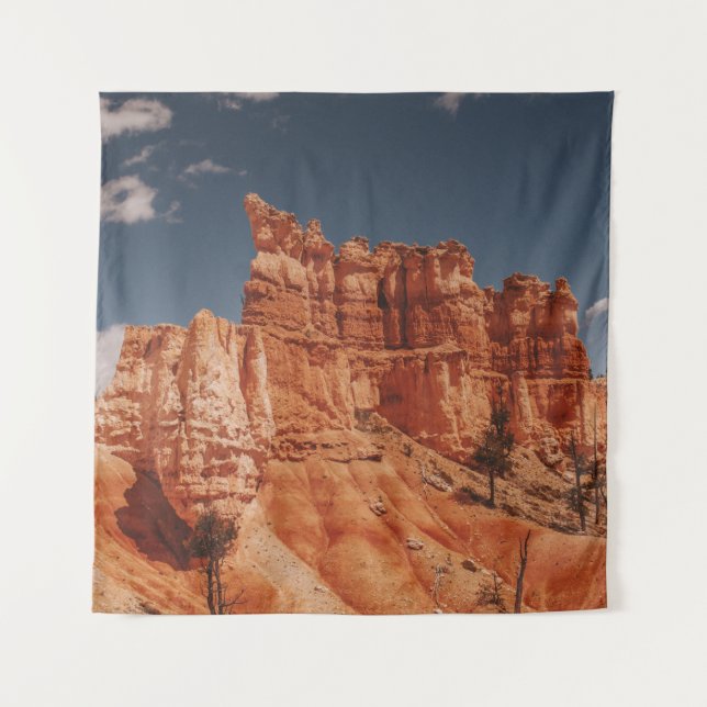 BROWN ROCKS TAPESTRY (Front)