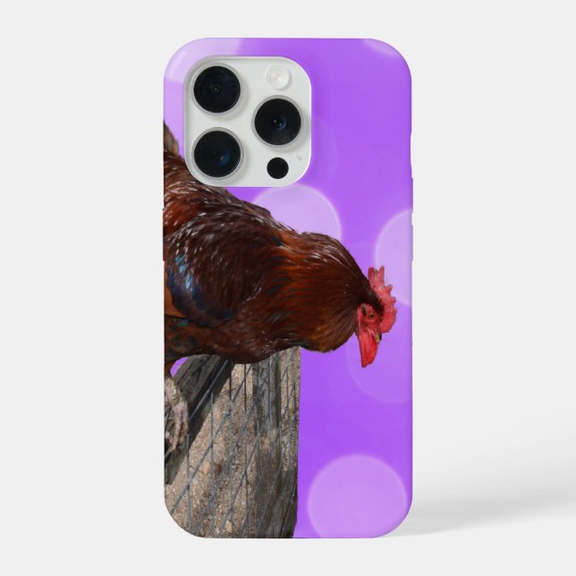 Brown Rooster Nosy Parker, iPhone Case (Back)