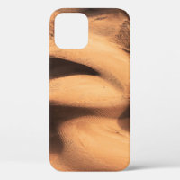 Brown sand formation