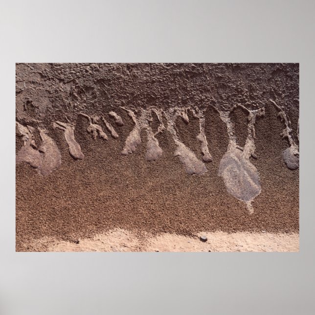 Brown sand poster (Front)