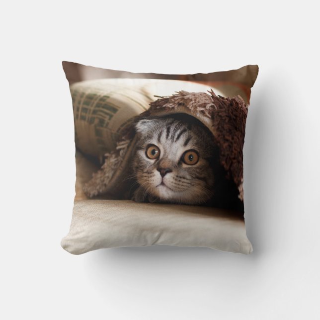 BROWN SCOTTISH FOLD IN BROWN THICK-PILE BLANKET CUSHION (Front)