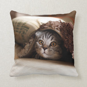 BROWN SCOTTISH FOLD IN BROWN THICK-PILE BLANKET CUSHION