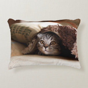 BROWN SCOTTISH FOLD IN BROWN THICK-PILE BLANKET DECORATIVE CUSHION