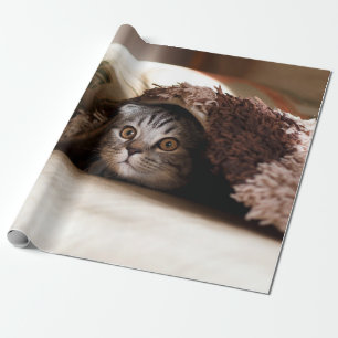 BROWN SCOTTISH FOLD IN BROWN THICK-PILE BLANKET WRAPPING PAPER