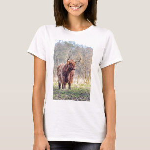 Brown scottish highlander cow standing in spring T-Shirt