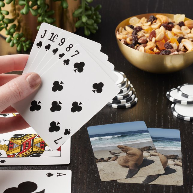 Brown Sea Lion on a Beach Playing Cards (In Situ)