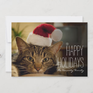 Brown short-haired tabby cat holiday card