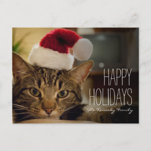 Brown short-haired tabby cat holiday postcard