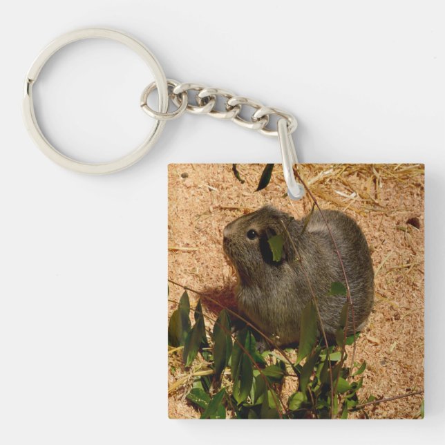 Brown Smooth Haired Guinea Pig, Key Ring (Front)