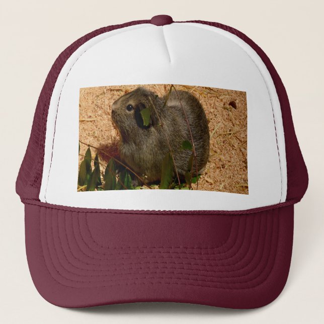 Brown Smooth Haired Guinea Pig, Trucker Hat (Front)