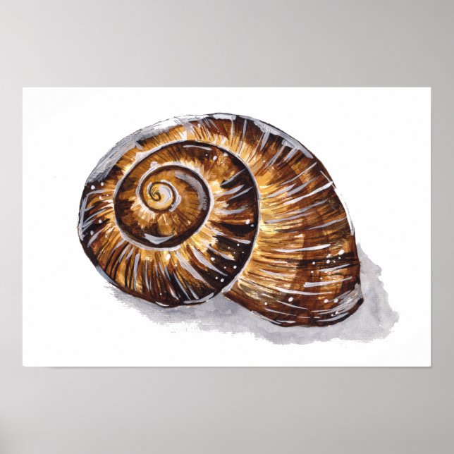 Brown Snail Shell Poster (Front)