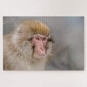 Brown Snow Monkey, Japanese Photography Jigsaw Puzzle