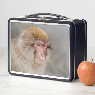 Brown Snow Monkey, Japanese Photography Metal Lunch Box