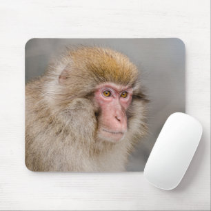 Brown Snow Monkey, Japanese Photography Mouse Pad