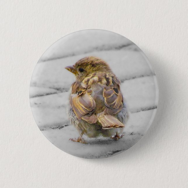 Brown Sparrow 6 Cm Round Badge (Front)