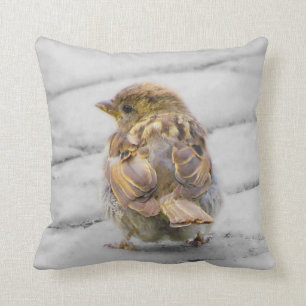 Brown Sparrow Cushion