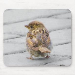 Brown Sparrow Mouse Pad
