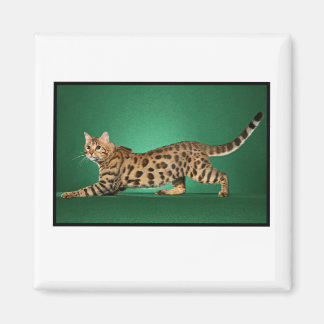 Brown Spotted Bengal Magnet