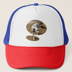 Brown Spotted Dalmatian, Trucker Hat