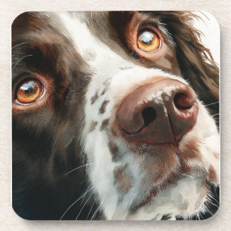 Brown springer spaniel portrait coaster