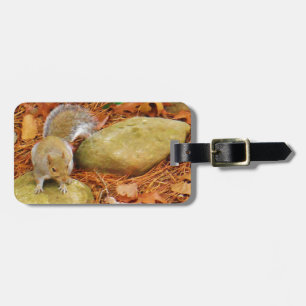Brown Squirrel on Rock Luggage Tag