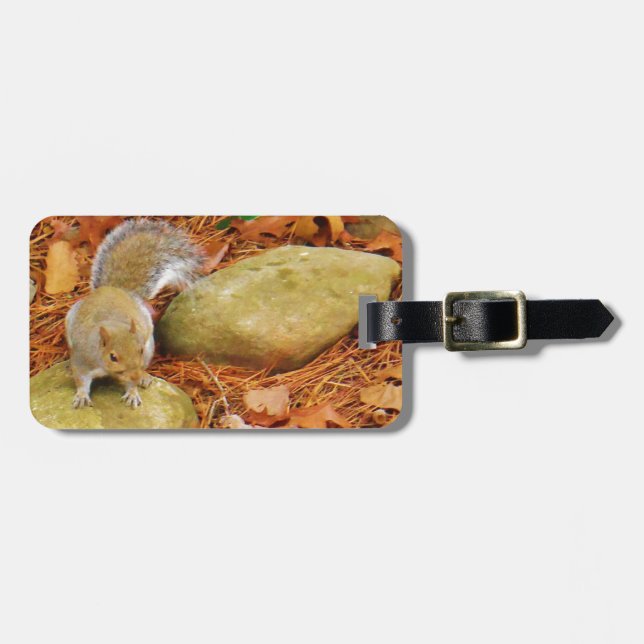 Brown Squirrel on Rock Luggage Tag (Front Horizontal)