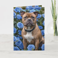 Brown Staffy In Blue Rose Garden, Bday Card