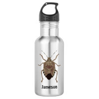 Brown Stink Bug Illustration Personalised
