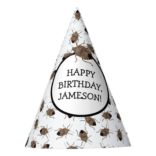 Brown Stink Bug Illustration Personalised Party Hat (Front)