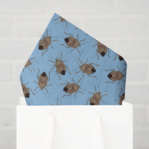 Brown Stink Bugs on Light Blue Patterned Tissue Paper