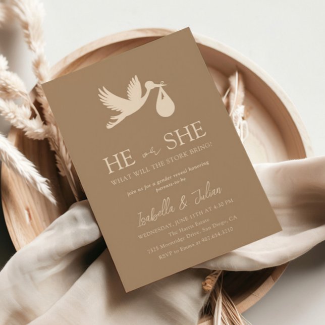 Brown Stork Baby Delivery He or She Gender Reveal Invitation (Creator Uploaded)