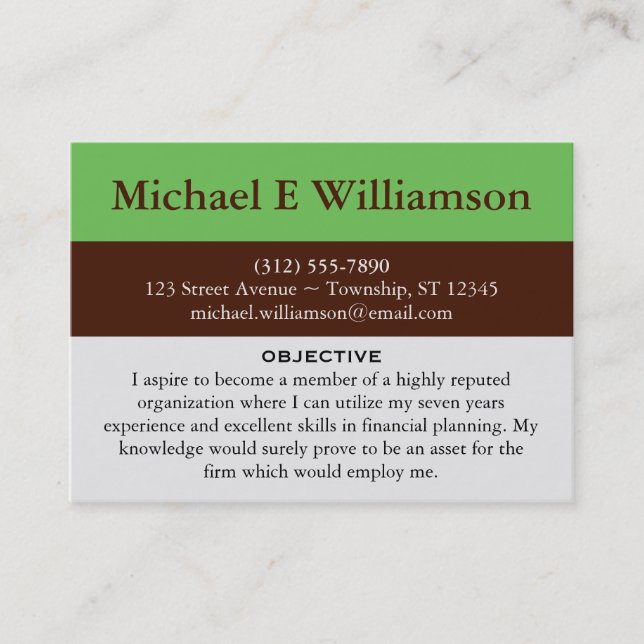 Brown Stripe Green RESUME Business Cards (Front)