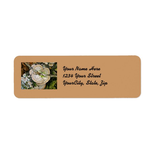Brown Striped Shelf Fungi Items Return Address Label (Front)