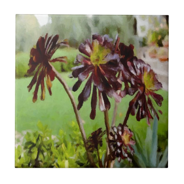 Brown Succulent Ceramic Tile (Front)