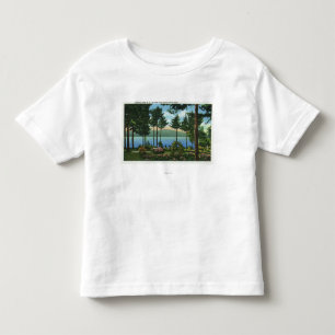 Brown Swan Park View of the Lake Toddler T-Shirt