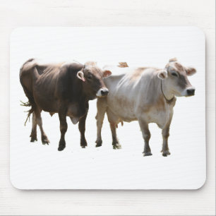 Brown Swiss Cows Mouse Pad