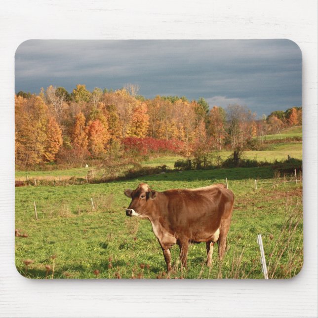Brown Swiss Mouse Pad (Front)